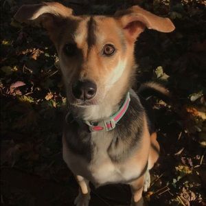 Meet your Posher, Julia